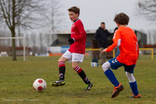 Rhelico JO11-1 - NIVO SPARTA JO11-2 3-4